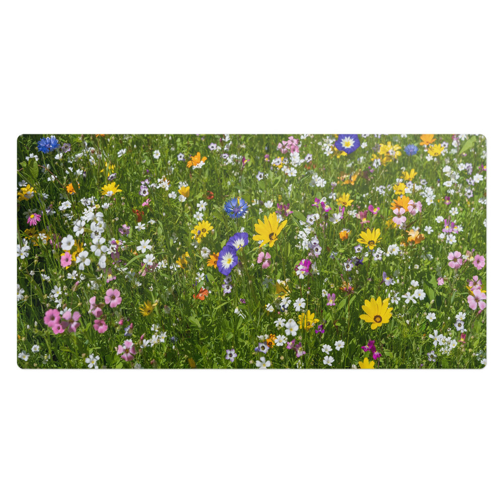 Kancelárska podložka na stôl Kvitnúca lúka