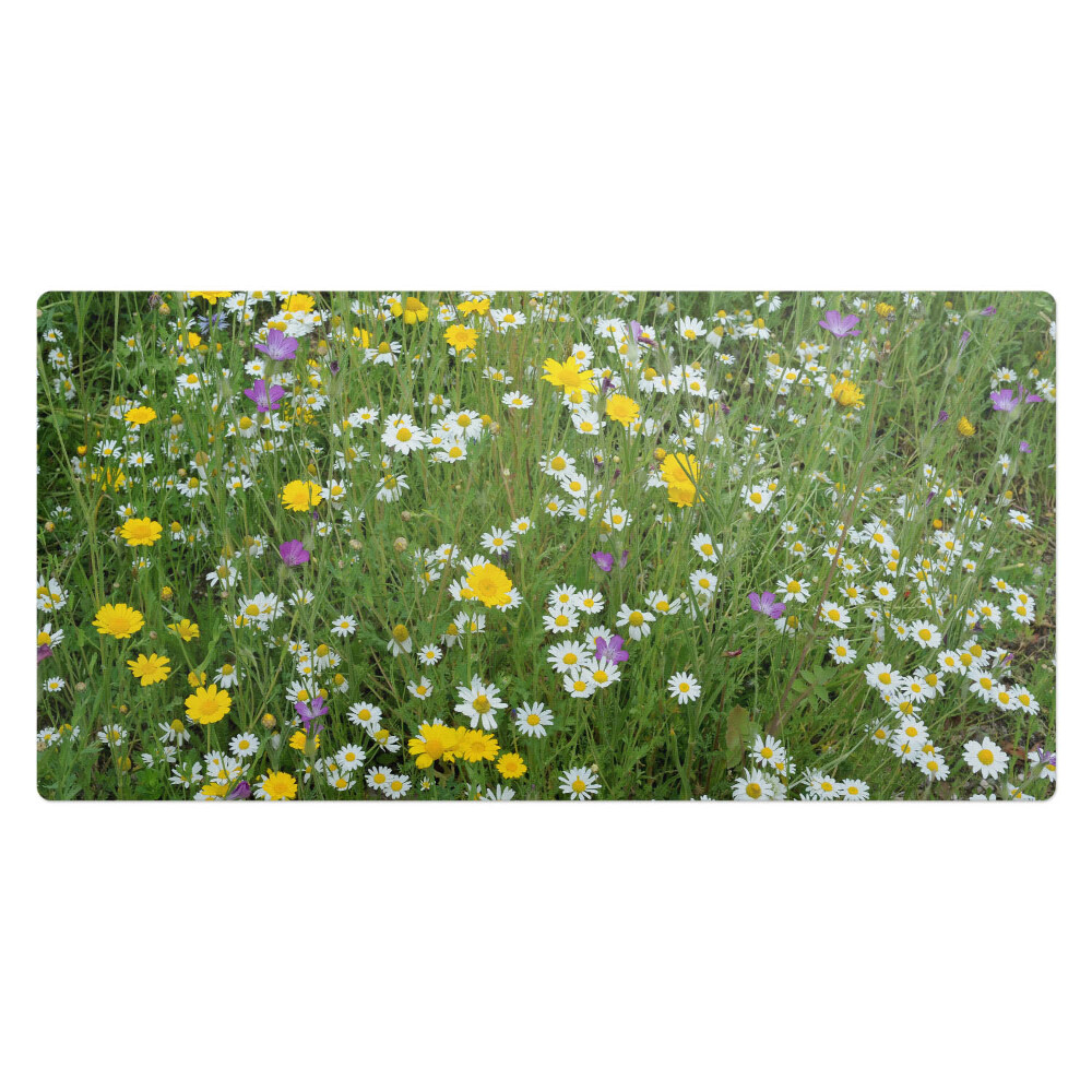 Kancelárska podložka na stôl Kvitnúca lúka
