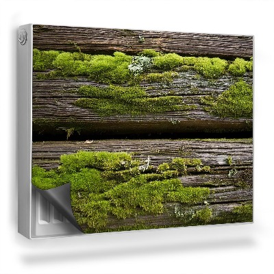 Dekoračný magnetický kryt na radiátor Staré drevené dosky pokryté machom