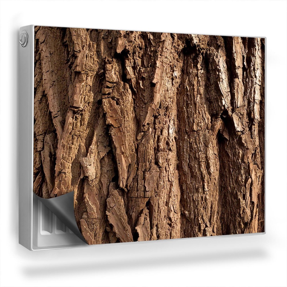 Dekoračný magnet na radiátor Textúra kôry kmeňa stromu, staré drevo