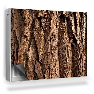 Dekoračný magnet na radiátor Textúra kôry kmeňa stromu, staré drevo