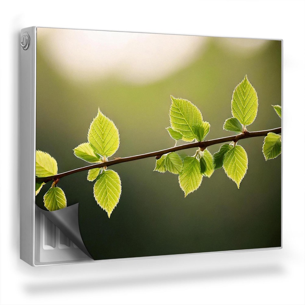 Magnetický kryt na radiátor Zväčšenie vetvičiek s malými listami, šťavnato zelené