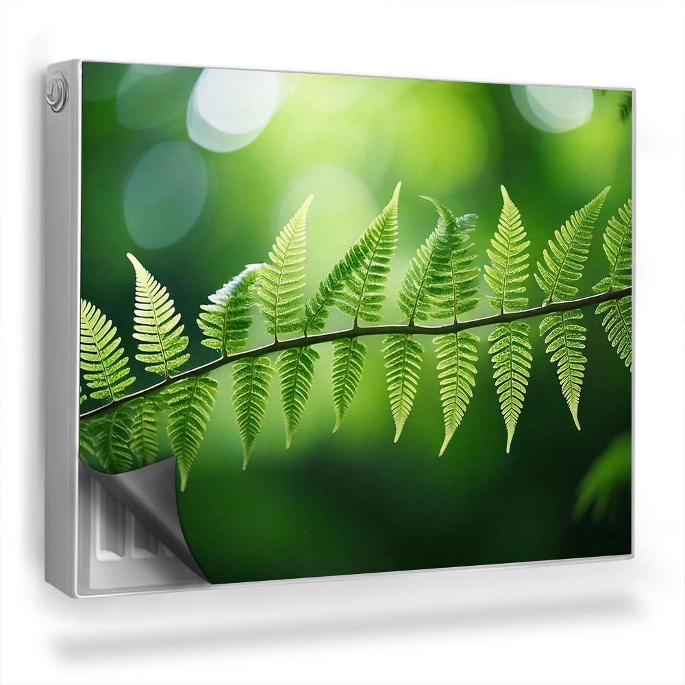 Magnetický kryt na radiátor Priblíženie štíhlej vetvičky papradia, sviežej zelene