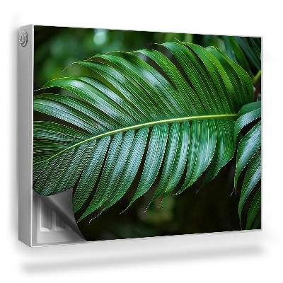 Dekoračný magnet na radiátor Detail listov tropickej rastliny