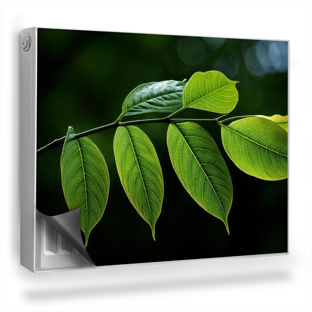 Dekoračný magnetický kryt na radiátor Konár s intenzívne zelenými listami