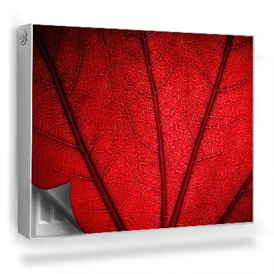 Dekoračný magnet na radiátor Listové žily, prírodná rastlinná textúra