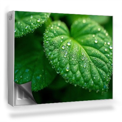 Dekoračný magnet na radiátor Detailný záber na list a kvapky rosy