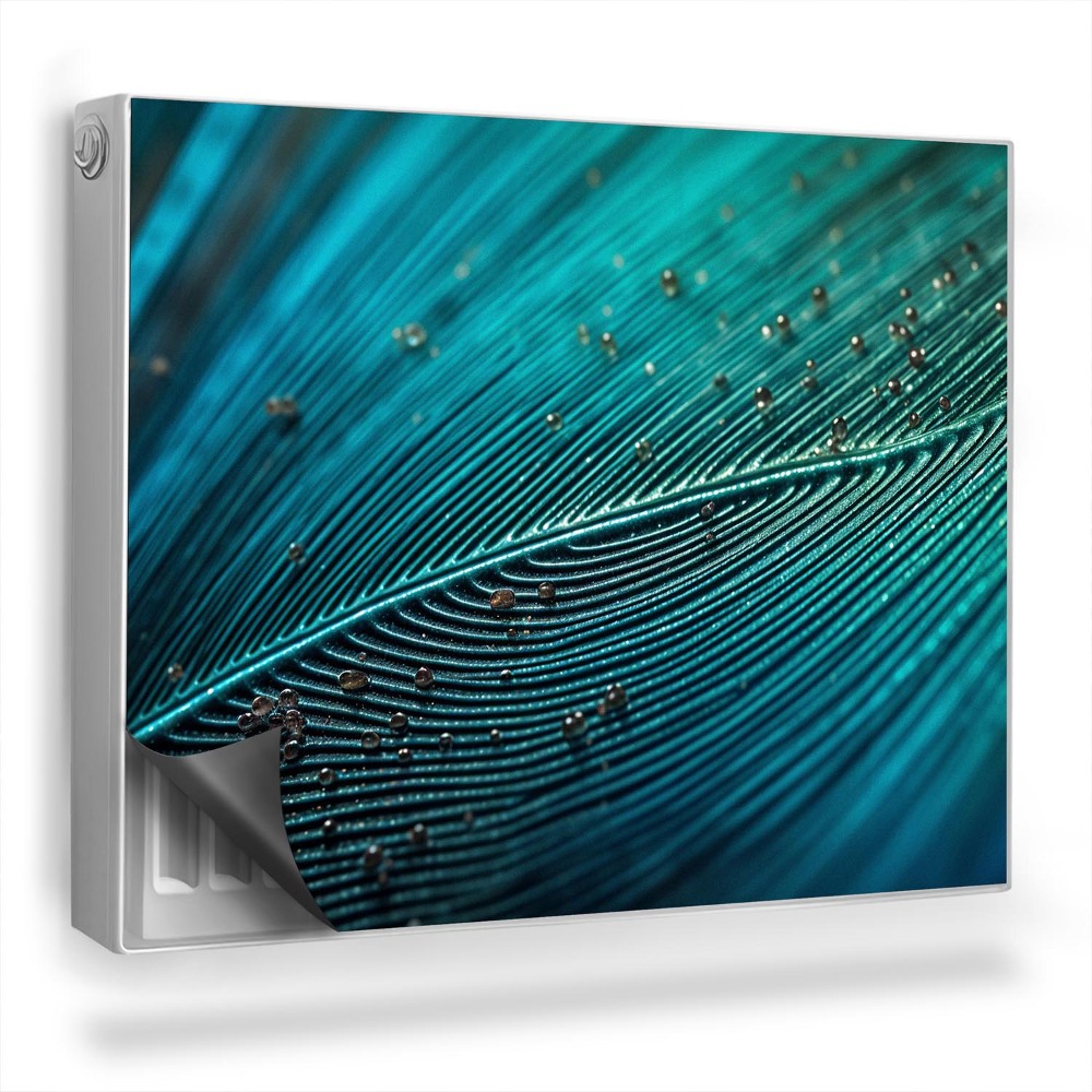 Dekoračný magnet na radiátor Detailný záber na intenzívnu štruktúru peria