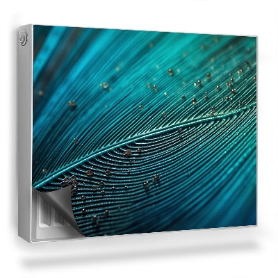 Dekoračný magnet na radiátor Detailný záber na intenzívnu štruktúru peria