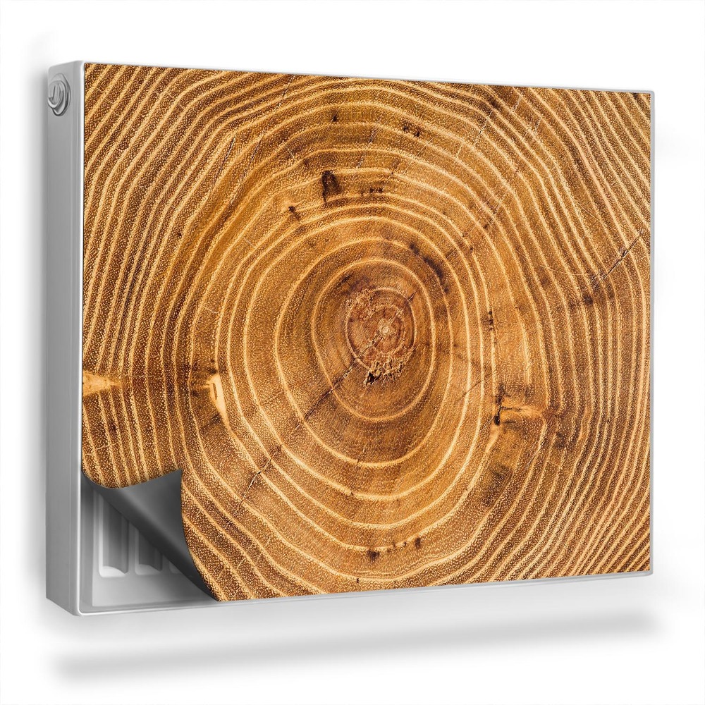 Dekoračný magnet na radiátor Prierez starého kmeňa stromu s uzlami a letokruhmi