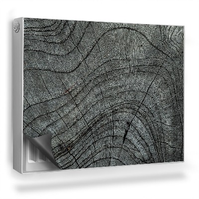 Magnetický kryt na radiátor Detailný záber prierezu starého stromu