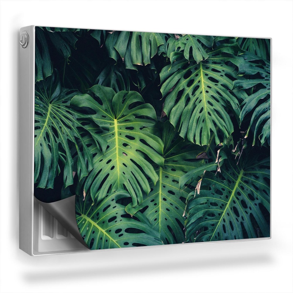 Dekoračný magnet na radiátor Husté listy monstery vytvárajú temnú atmosféru