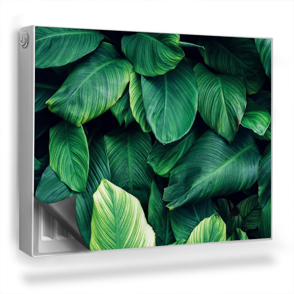 Dekoračný magnet na radiátor Prekrývajúce sa listy džungle