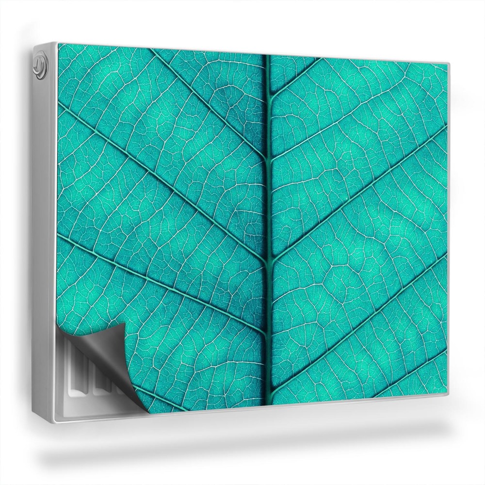 Dekoračný magnet na radiátor Pohľad na žilnatinu jedného listu