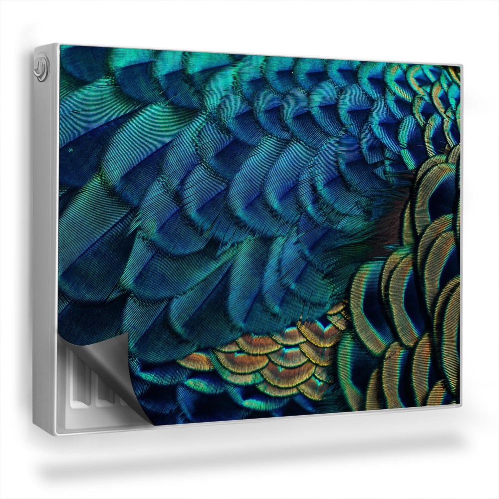 Magnetický kryt na radiátor Detailný záber na farebné perie páva