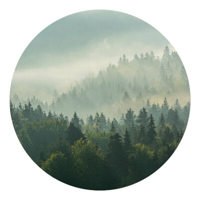 Podložka pod kolieskovú stoličku okrúhla Hmlistý les za úsvitu