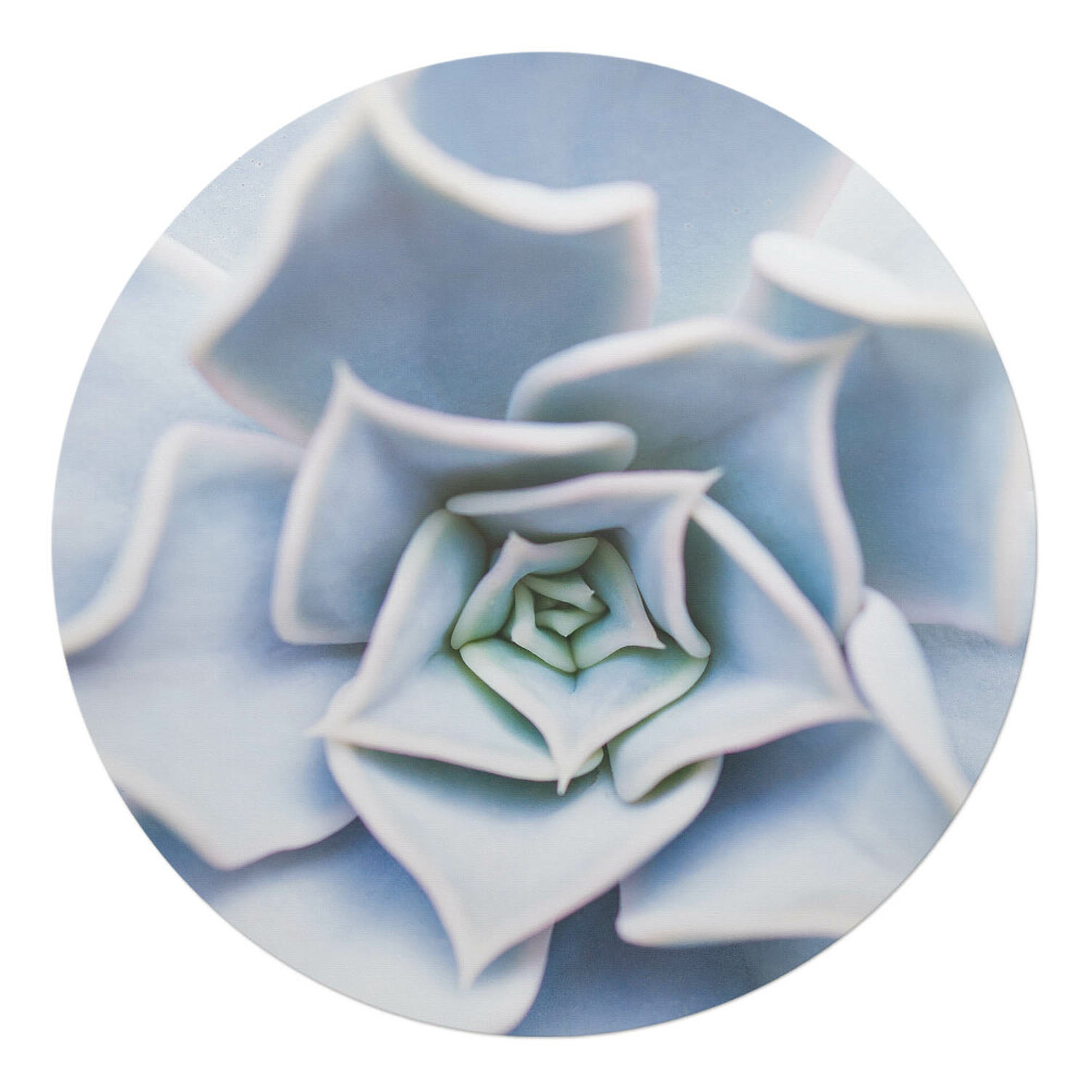 Podložka pod kolieskovú stoličku okrúhla Špirálové sukulenty