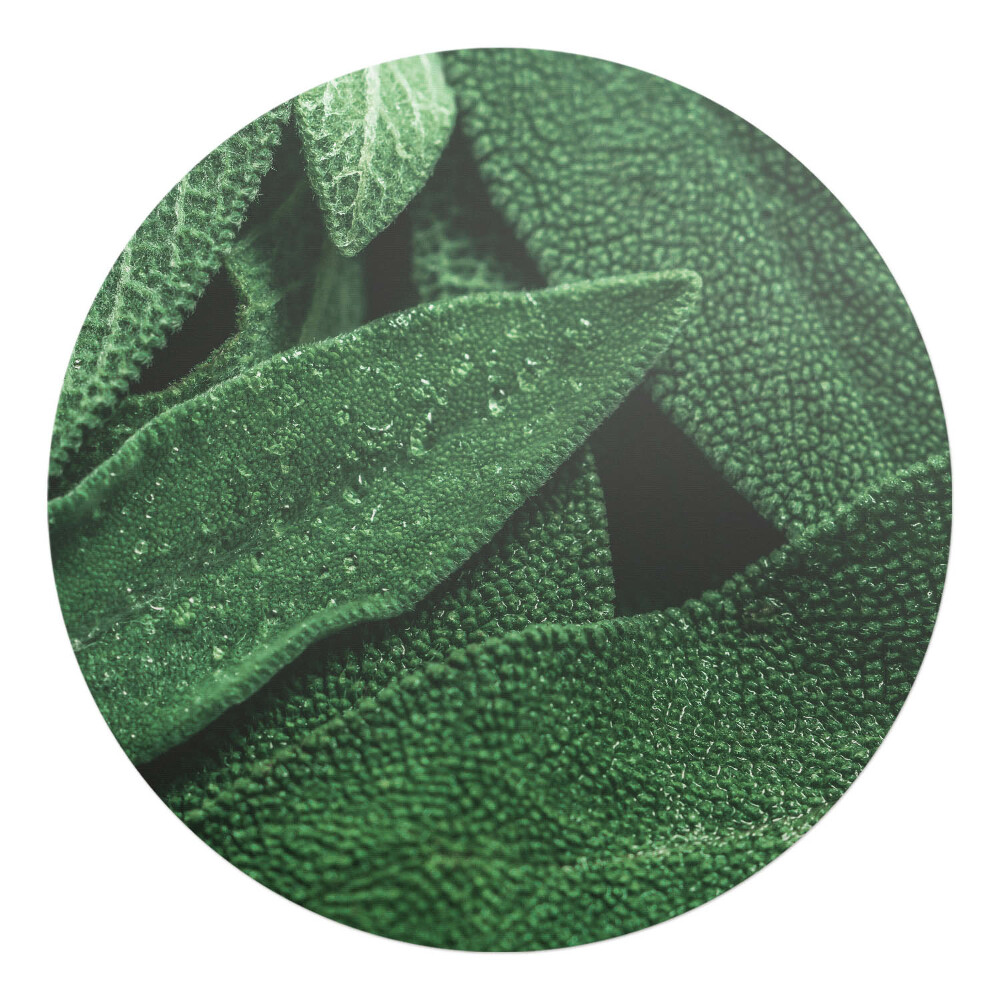 Podložka pod kolieskovú stoličku okrúhla Listy zblízka