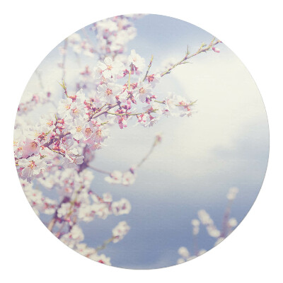 Podložka pod kolieskovú stoličku okrúhla Jarné kvety