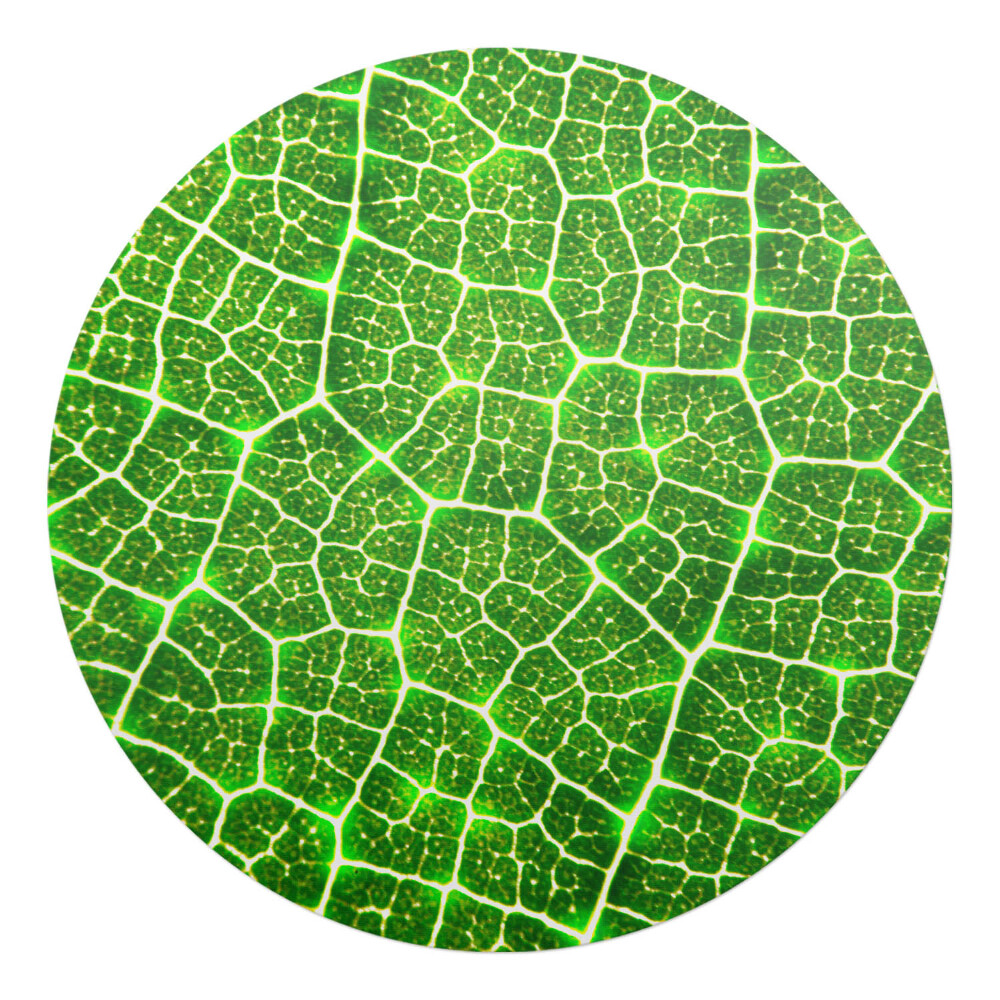 Podložka pod stoličku okrúhla Detail listu