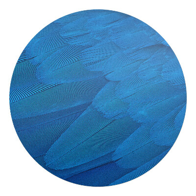 Podložka pod kolieskovú stoličku okrúhla Vtáčie perie zblízka