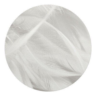 Podložka pod kolieskovú stoličku okrúhla Jemné pierka