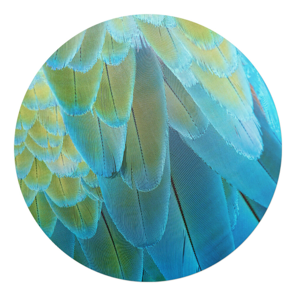 Podložka pod kolieskovú stoličku okrúhla Vtáčie perie zblízka