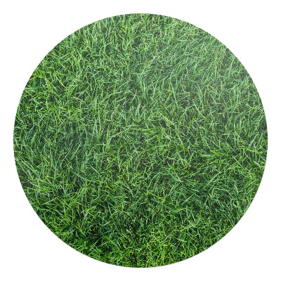 Podložka pod kolieskovú stoličku okrúhla Šťavnatá tráva