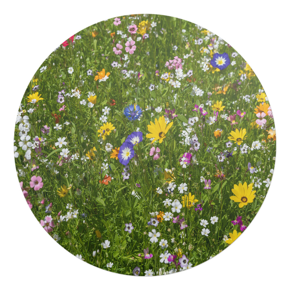 Podložka pod kolieskovú stoličku okrúhla Kvitnúca lúka