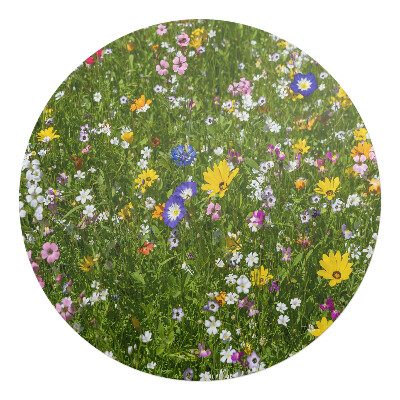 Podložka pod kolieskovú stoličku okrúhla Kvitnúca lúka