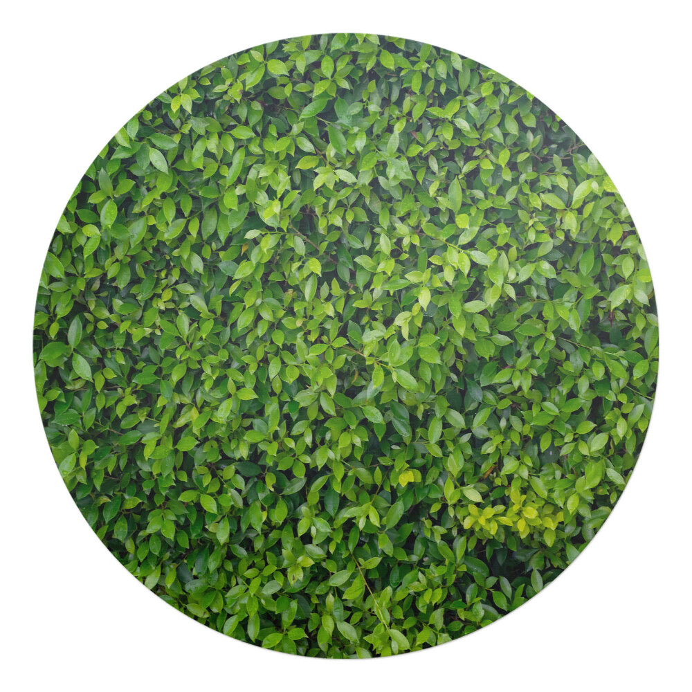 Podložka pod stoličku na kolieskach okrúhla Zelená stena z listov