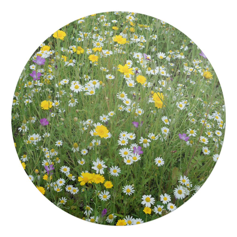 Podložka pod stoličku na kolieskach okrúhla Kvitnúca lúka