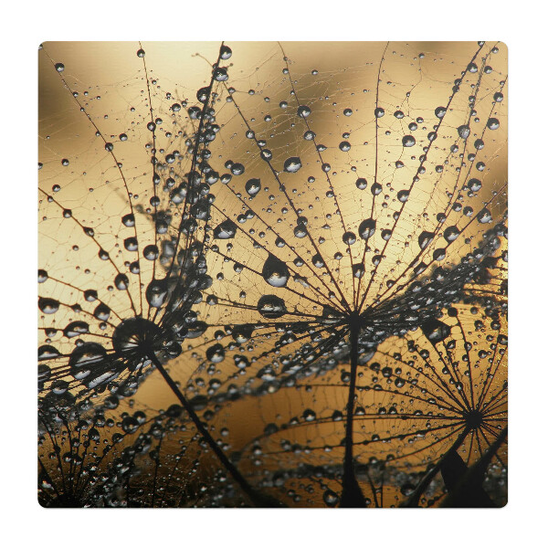 Podložka pod stoličku Kvapky na pavučine