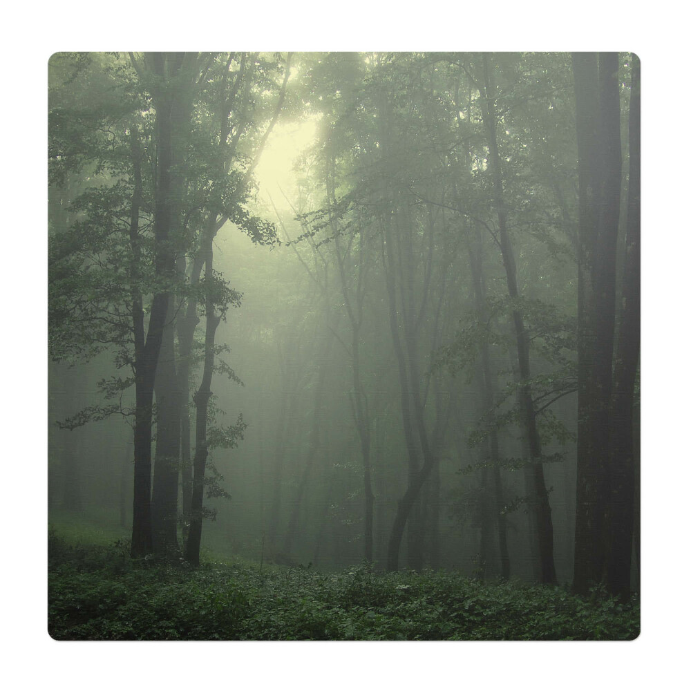 Podložka pod kolieskovú stoličku Hmlistý les za úsvitu