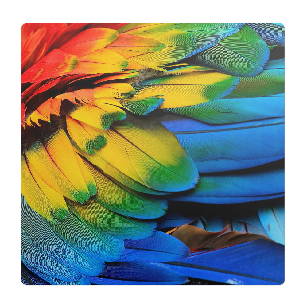 Podložka pod stoličku Farebné papagájové perie