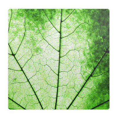 Podložka pod stoličku Štruktúra listovej žily
