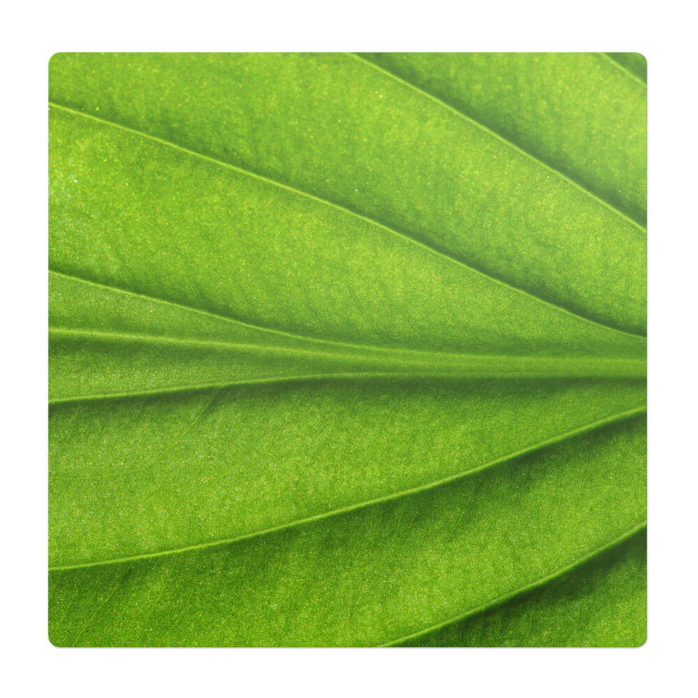 Podložka pod stoličku na kolieskach List zblízka