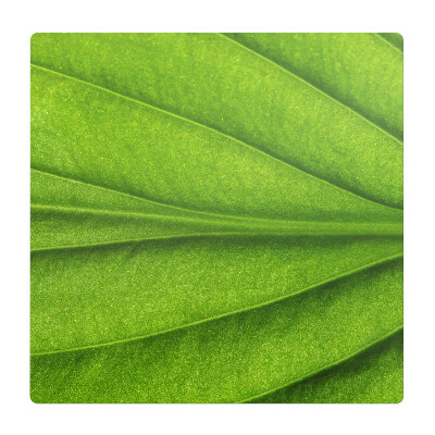 Podložka pod stoličku na kolieskach List zblízka