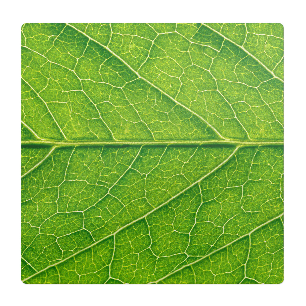 Podložka pod stoličku Detail listu