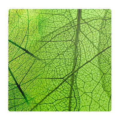 Podložka pod stoličku Detail listu