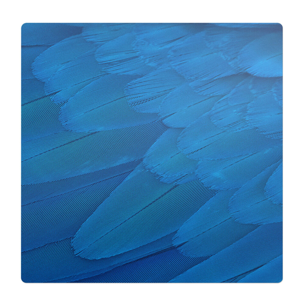 Podložka pod stoličku na kolieskach Vtáčie perie zblízka