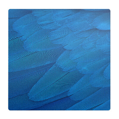 Podložka pod stoličku na kolieskach Vtáčie perie zblízka