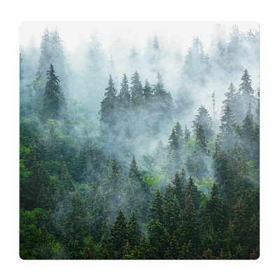 Podložka pod stoličku Hmlistý ihličnatý les