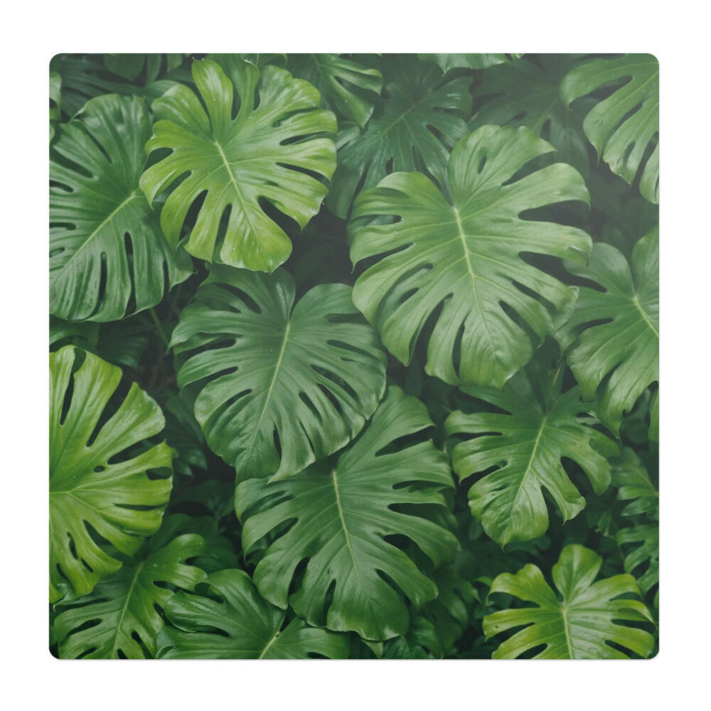 Podložka pod stoličku na kolieskach Listy monstery