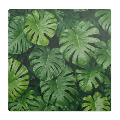 Podložka pod stoličku na kolieskach Listy monstery