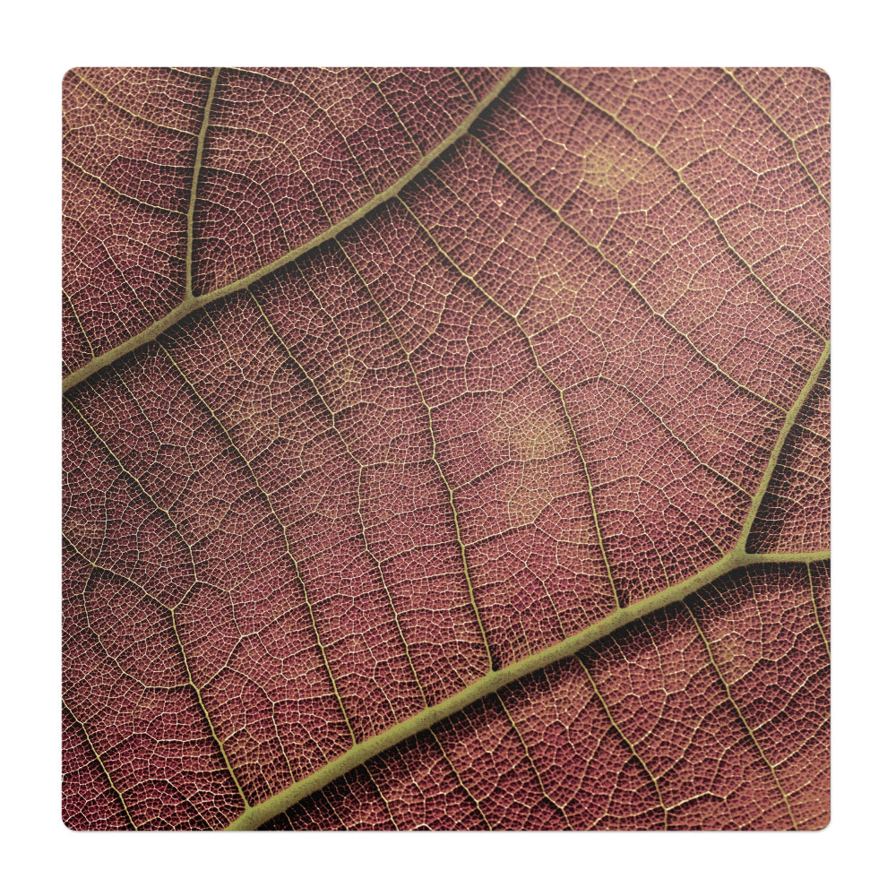 Podložka pod stoličku Štruktúra listu