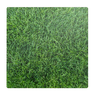 Podložka pod stoličku na kolieskach Šťavnatá tráva