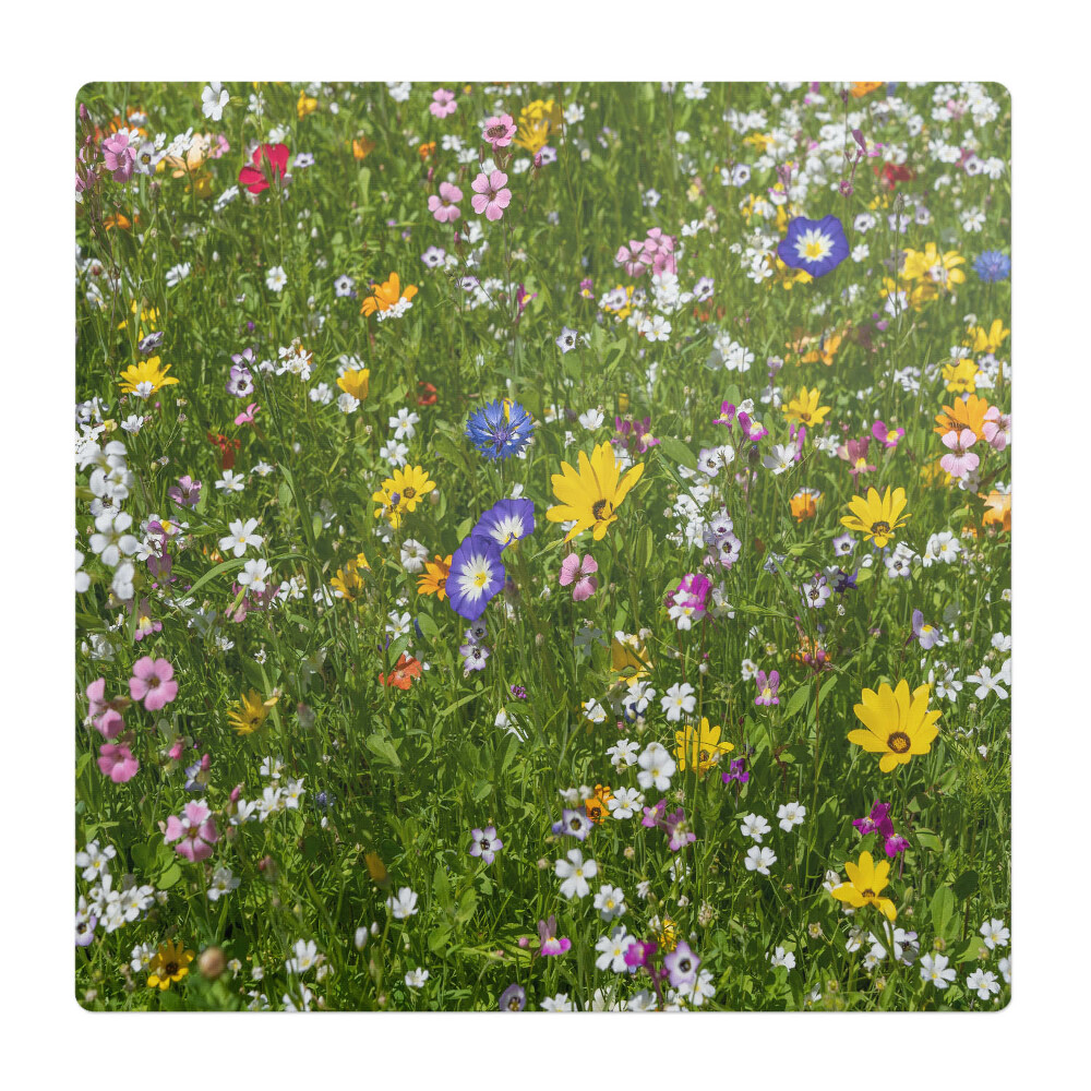 Podložka pod stoličku na kolieskach Kvitnúca lúka