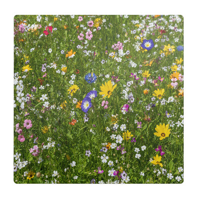 Podložka pod stoličku na kolieskach Kvitnúca lúka