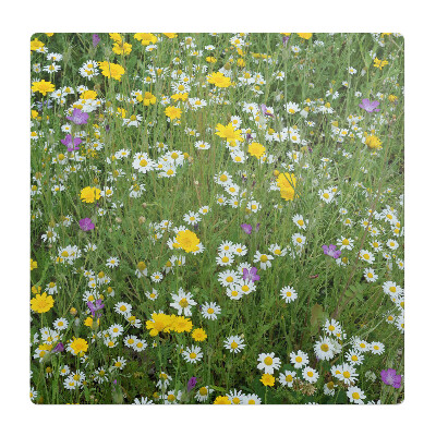 Podložka pod stoličku na kolieskach Kvitnúca lúka